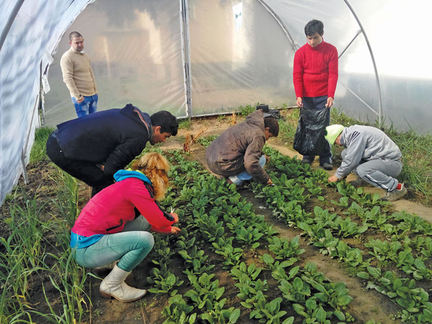 O șansă pentru cei vulnerabili