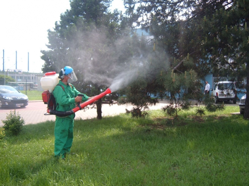 Deratizare, dezinsecţie contra ţânţarilor şi dezinsecţia