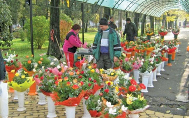 Despre flori, Florii și...Sfântu Gheorghe