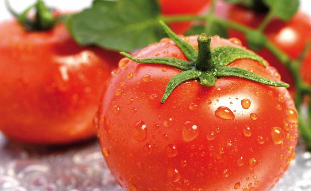 Utilizare nebănuită a roşiilor: producerea de electricitate