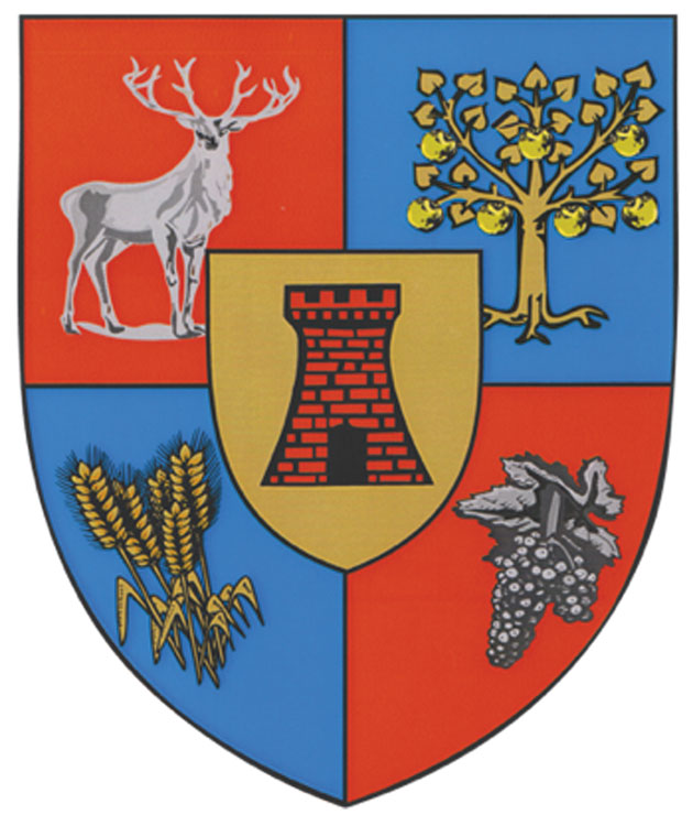 Ce semnificaţii au simbolurile de pe stema judeţului şi a municipiului Satu Mare