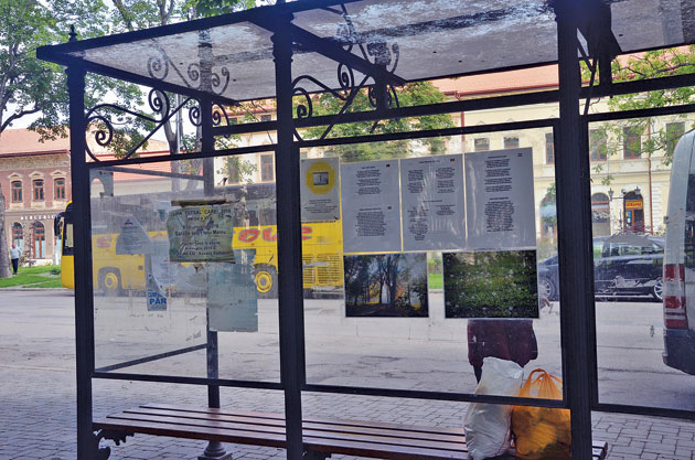 Acțiuni culturale de mare efect la Carei