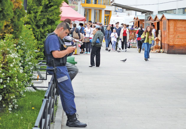 Armata privată a Sătmarului