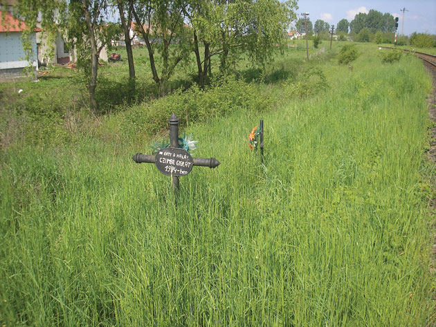 Trecerile la nivel cu calea ferată, pericol public