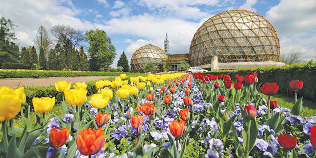 Un mic paradis: Grădina Botanică din Jibou