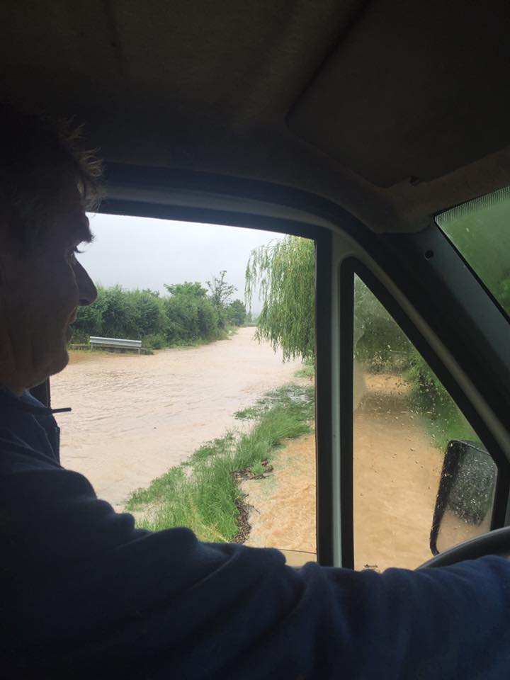 13413548_1186479478037819_8558374399301568507_n