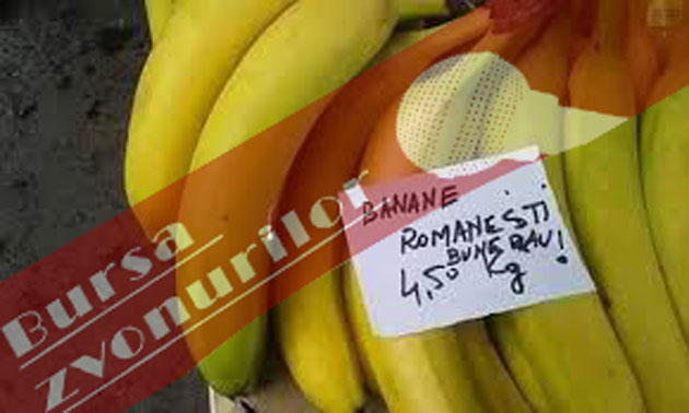 Cititorii au cuvântul (II)