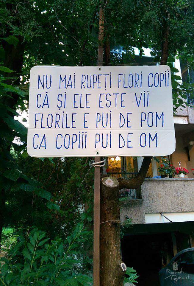 Nu călcați iarba...