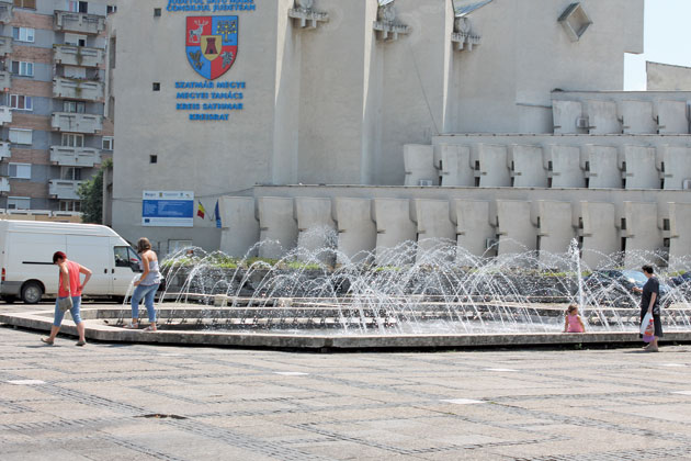 Sfaturi pe timp de caniculă