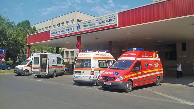 Tot mai mulţi sătmăreni muşcaţi de căpuşe