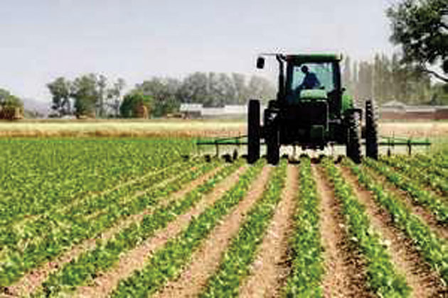 Termen prelungit pentru plățile către fermieri