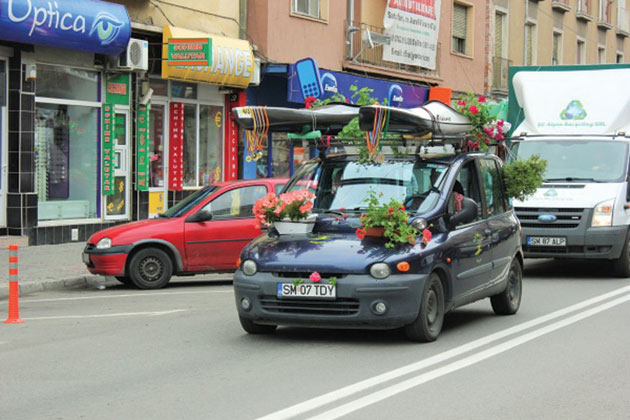 Străzi pline de culoare, în Satu Mare