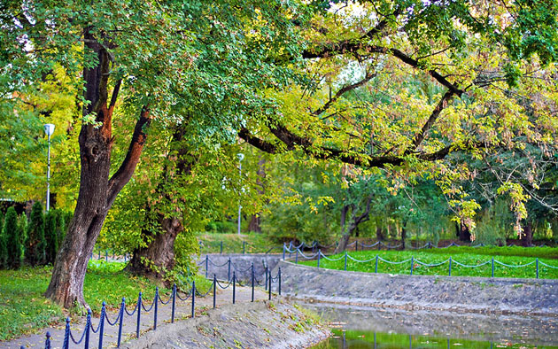 Grădina Romei – “plămânul” oraşului Satu Mare