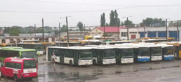 Greva care a paralizat municipiul Satu Mare