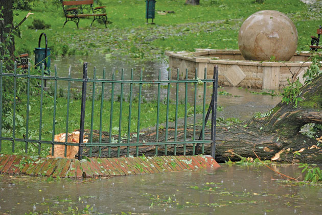 Grindina a făcut ravagii în judeţ