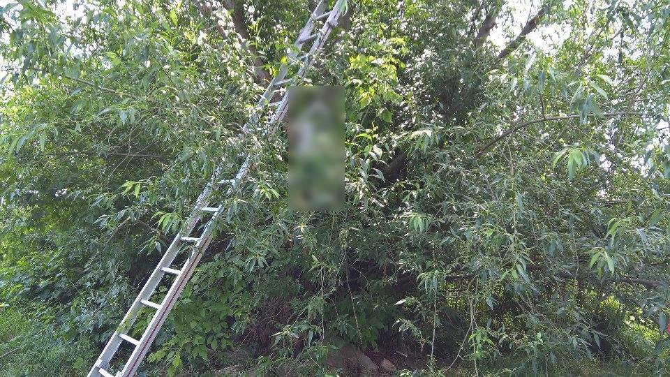 Un sătmărean a fost găsit spânzurat