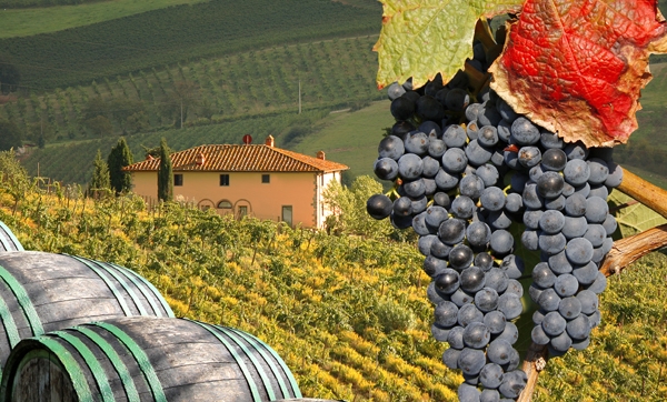 5 motive pentru a mânca struguri