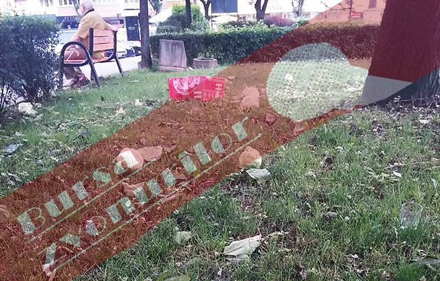 Fenomene extreme –  plouă cu... varză