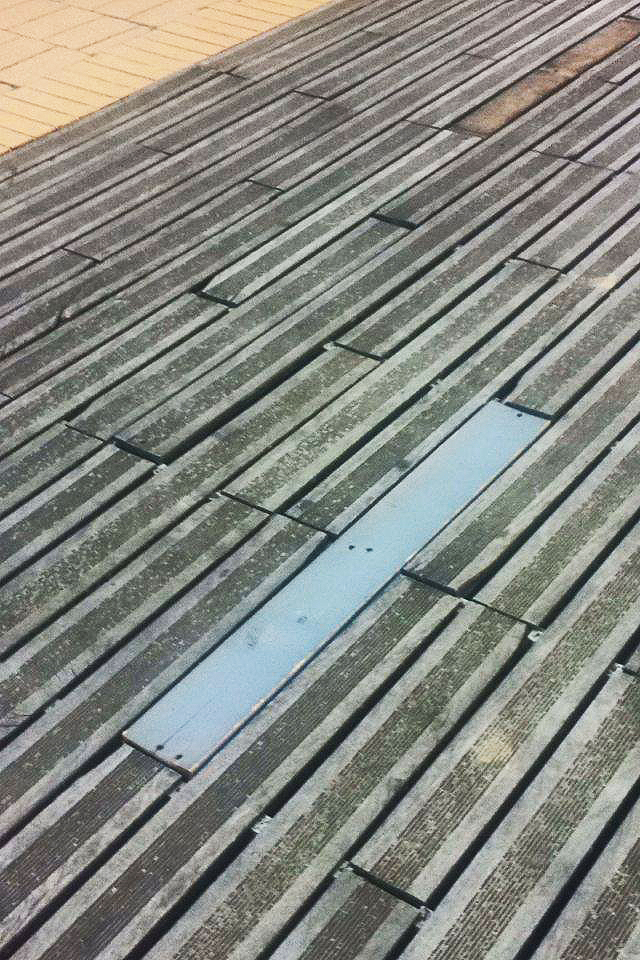 13644131_1217296541637195_676180939_n