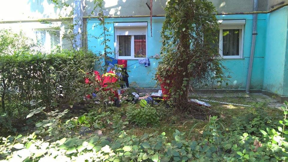 13820686_637519713072626_854771050_n