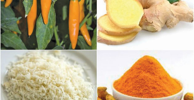 Cel mai puternic antibiotic natural al tuturor timpurilor – elimină toate infecțiile din organism