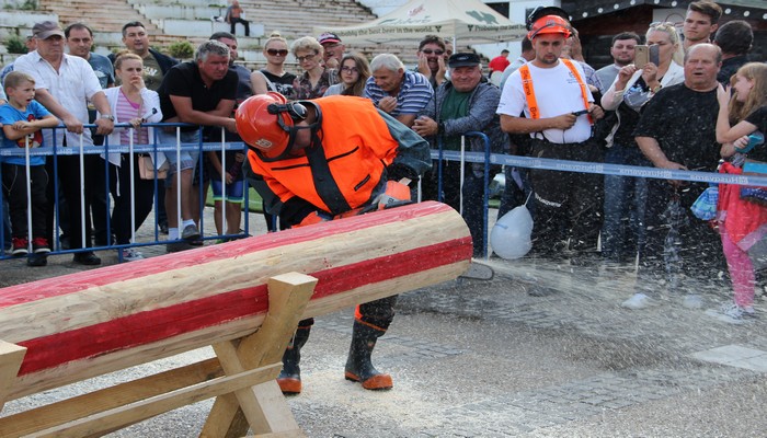 Show total cu drujba