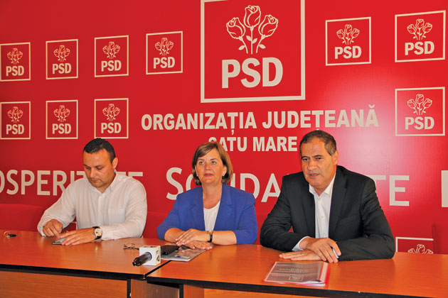 Aurelia Fedorca, noul președinte județean al PSD