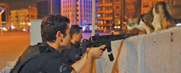 Fotografia unei pisici care înfruntă arma unui poliţist a devenit virală