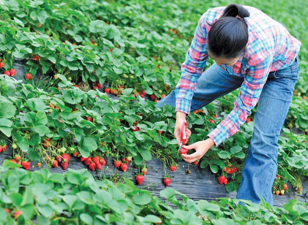 800 de locuri de muncă în Spania, prin EURES