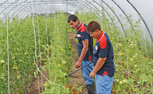 Asociaţia STEA şi Ţara lui Andrei...