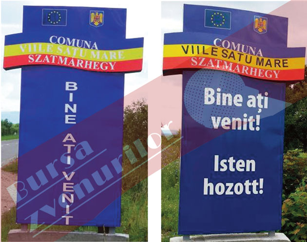 Viii, viile şi culorile