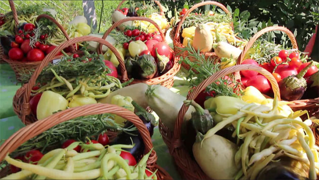 Legume din Grădina Stea