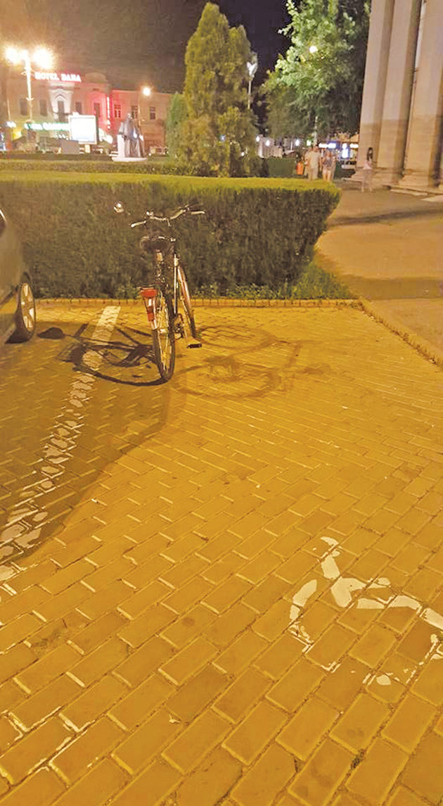 Poza face toţi banii!