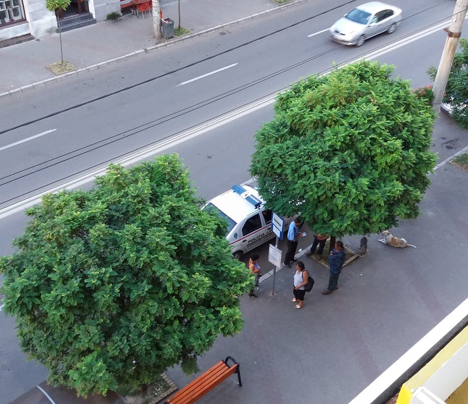 Veselie şi scandal, la Vaca