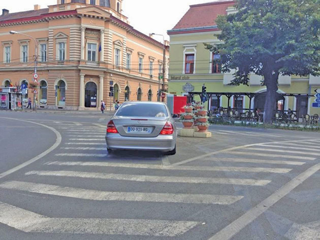 August sau „como se dice”