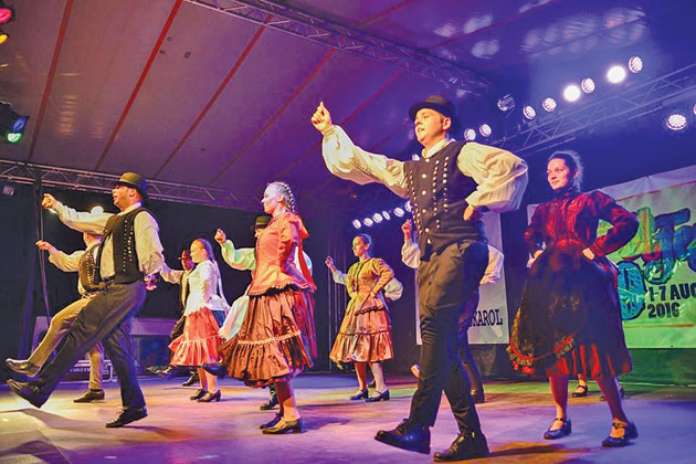 Încă o zi reuşită la Carei