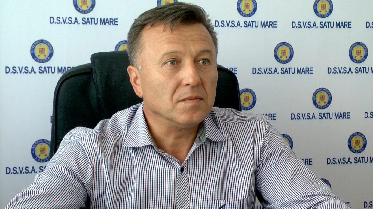 Invazia vulpilor în municipiul Satu Mare