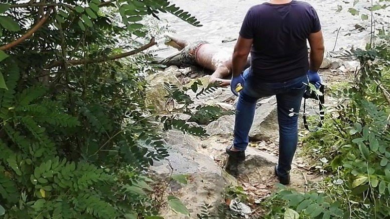 Cadavrul sătmăreanului înecat în Someş a fost descoperit