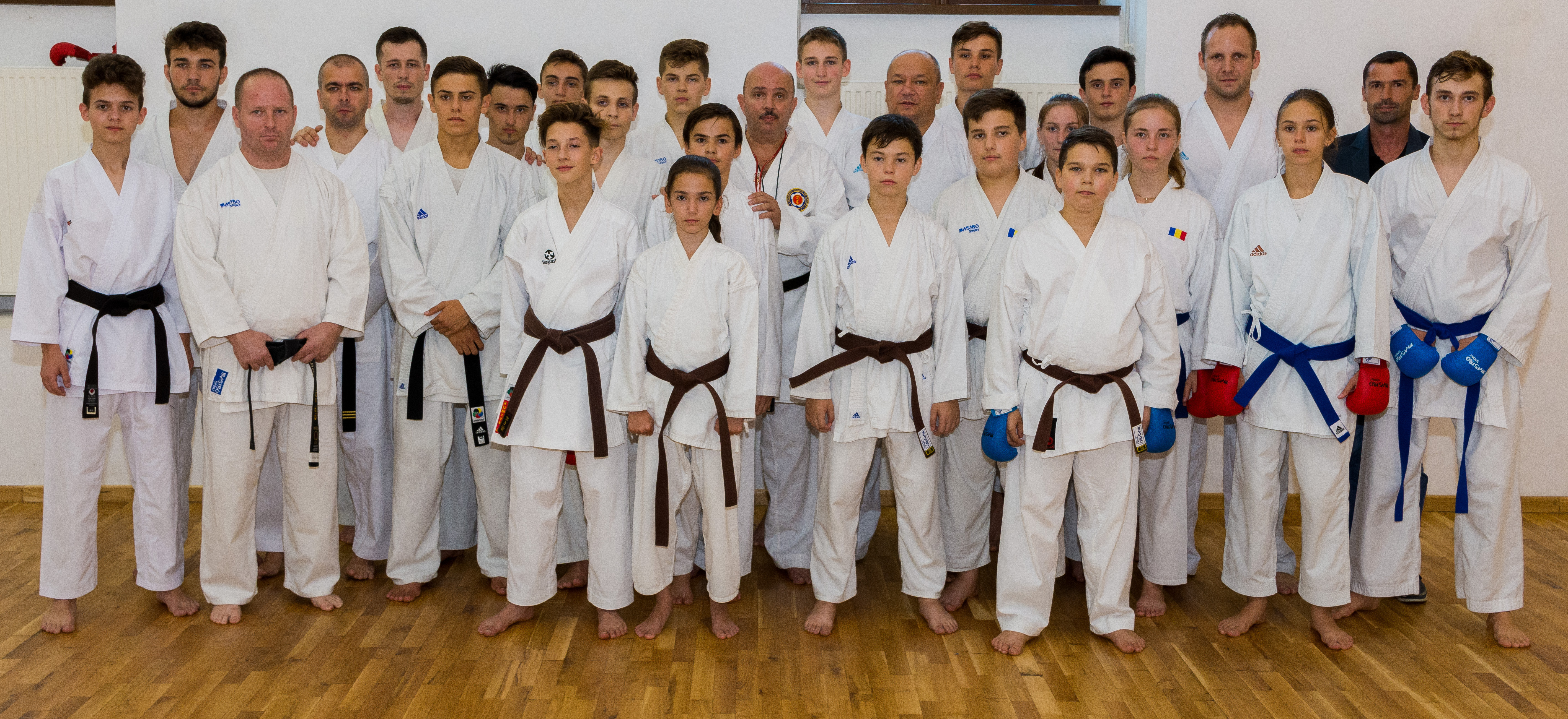Karate WKF de top, la Satu Mare