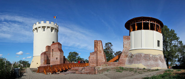 Artişti din nouă ţări vin sub Cetatea Ardudului