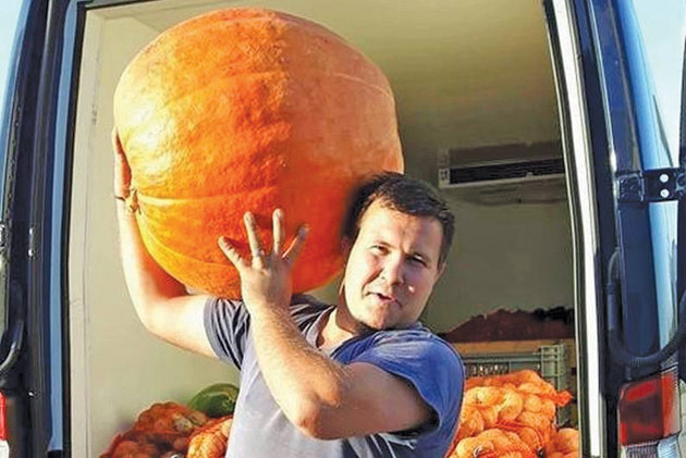 Suprizele toamnei: bostan uriaș și dovleci ciudați la Satu Mare