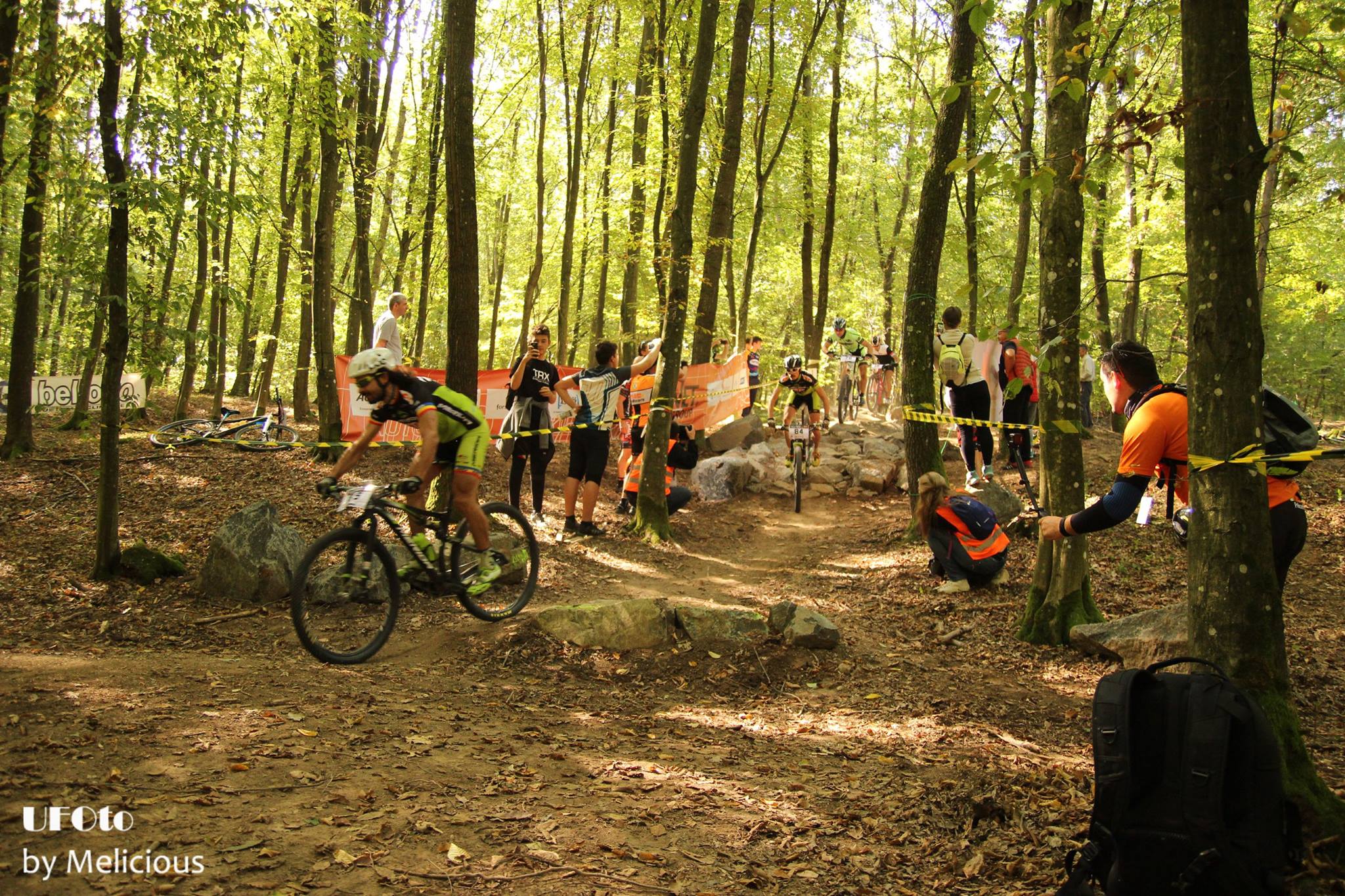 Crosul Viilor, o pledoarie pentru mişcare!