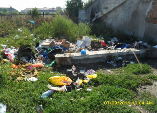 Gunoaiele Sătmarului, descoperite de polițiști