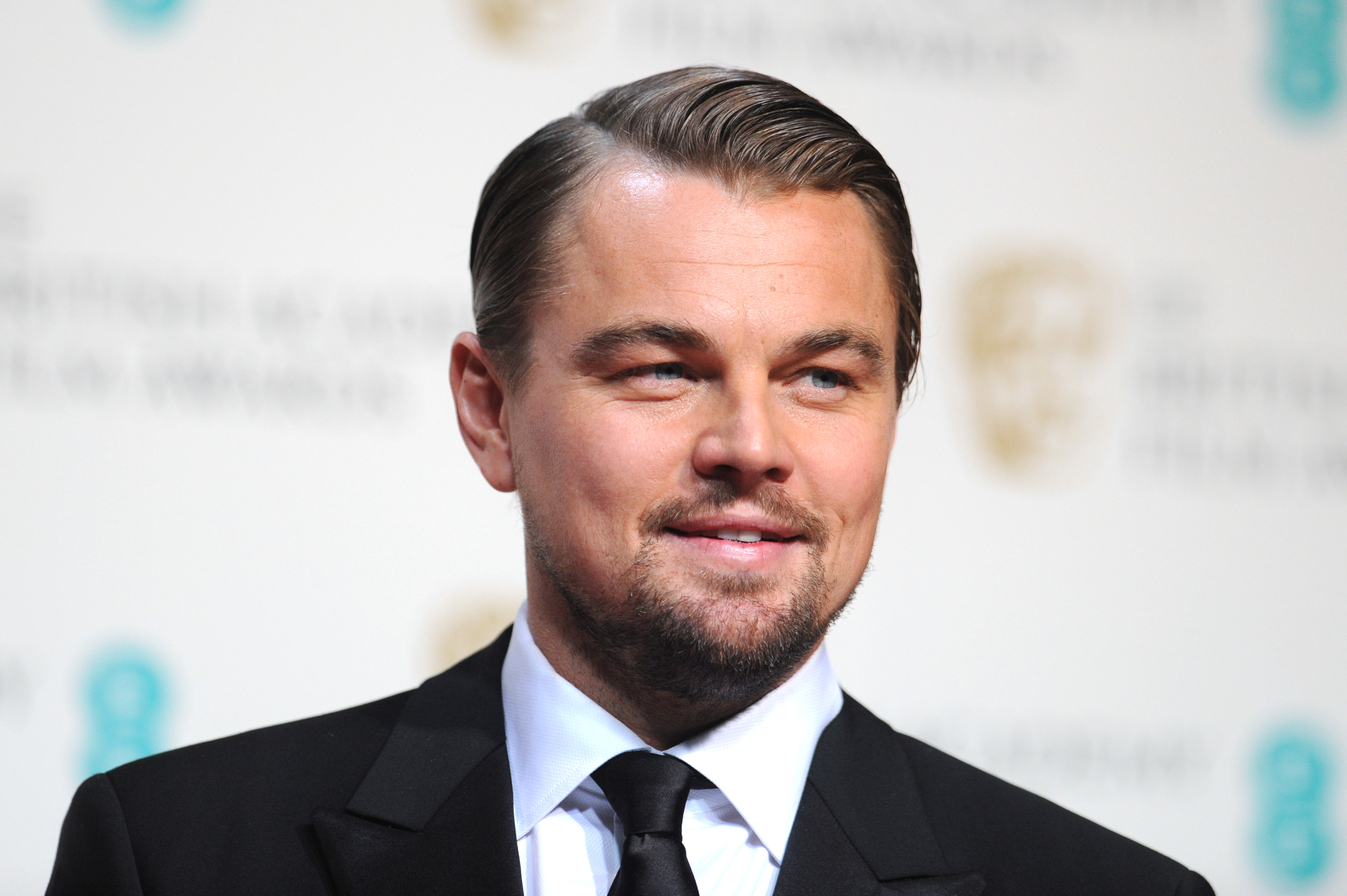 DiCaprio atrage atenţia Guvernului României  în privinţa defrişărilor ilegale din ţară