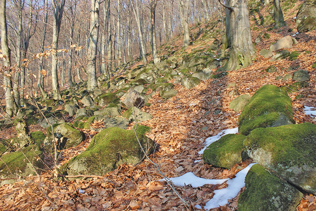 Turţ Băi – locul unde mineritul poate lăsa locul turismului