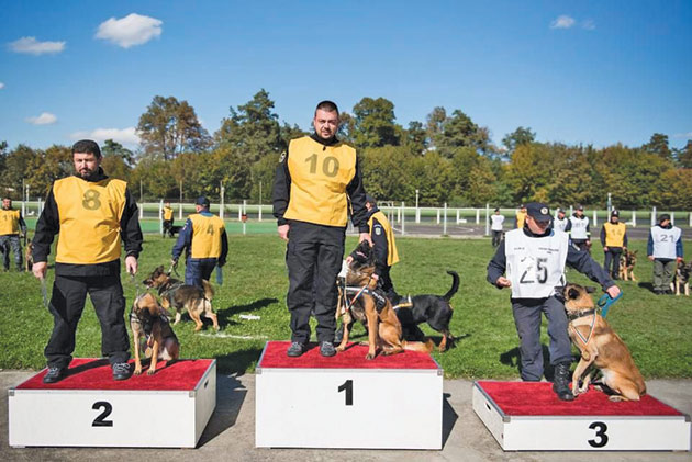 IPJ Satu Mare are cei mai deştepţi câini din ţară