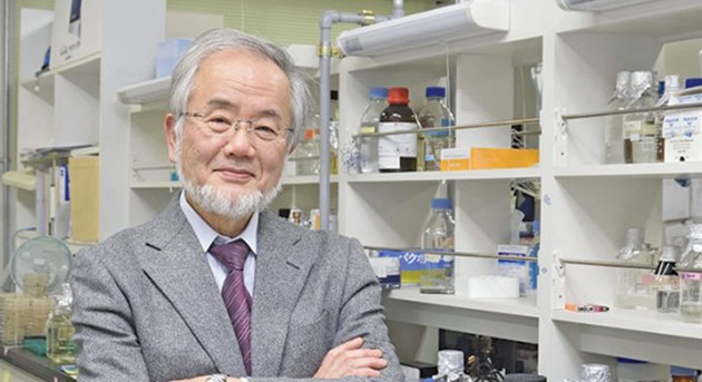 Premiul Nobel pentru fiziologie şi medicină a fost câştigat de Yoshinori Ohsumi