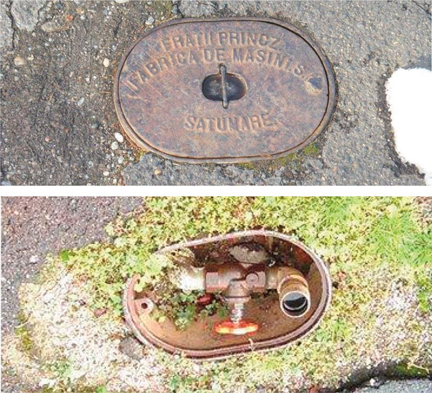 Frații Princz la “her vechi!”