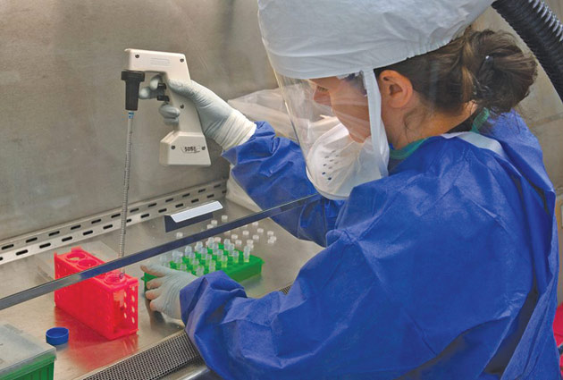 Virusul West Nile a fost confirmat la Satu Mare