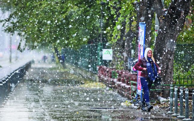 Cod galben de ninsoare în Satu Mare